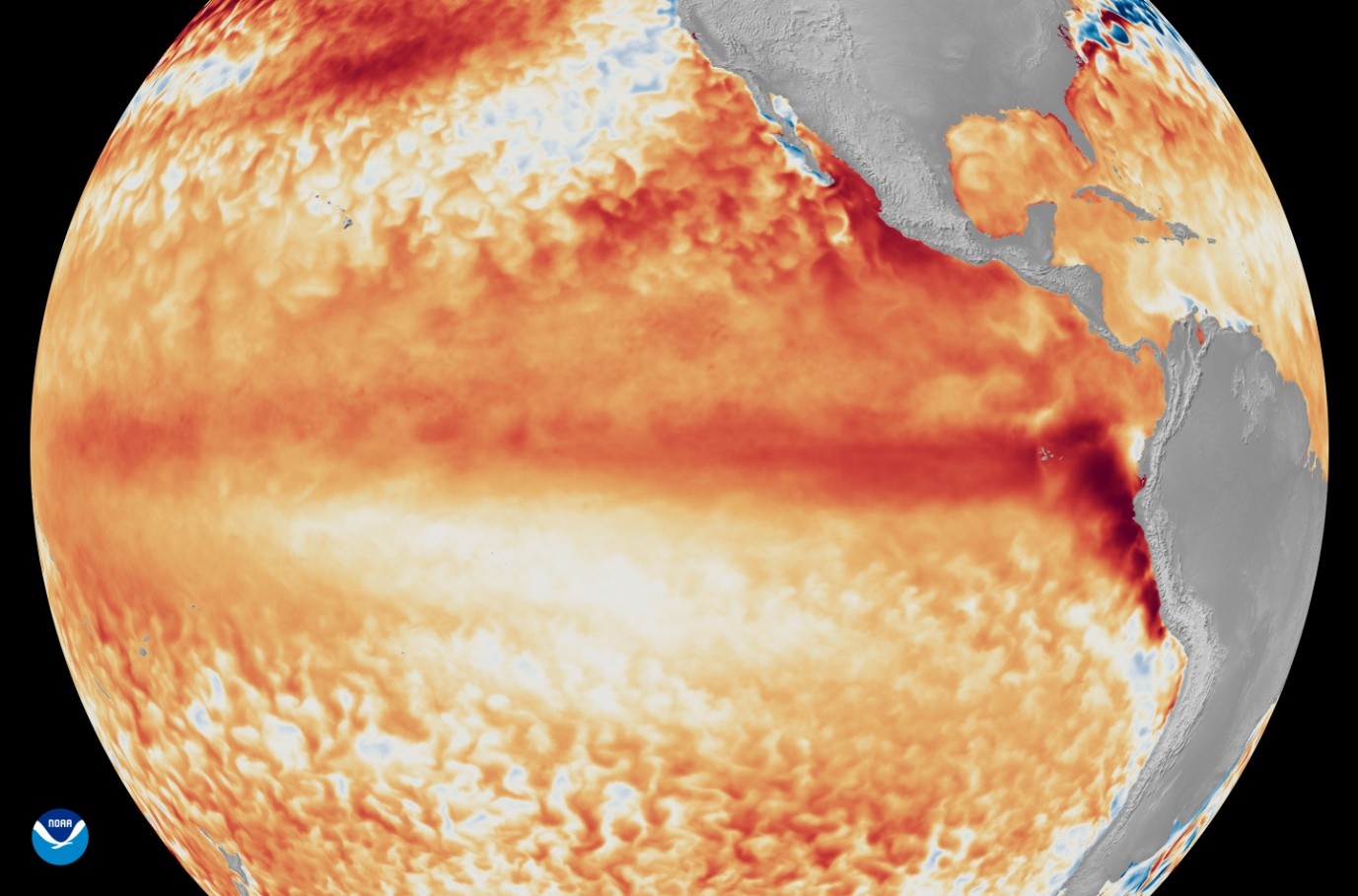Figure 2: Satellite imagery from the first week of June 2026 shows that sea surface temperatures in the tropical Pacific Ocean are rising above the long-term average.