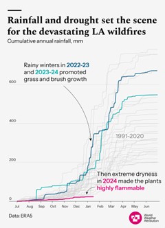 The LA fires followed a ‘climate whiplash’ event, involving two wet winters followed by an extremely dry one, resulting in huge amounts of flammable vegetation.