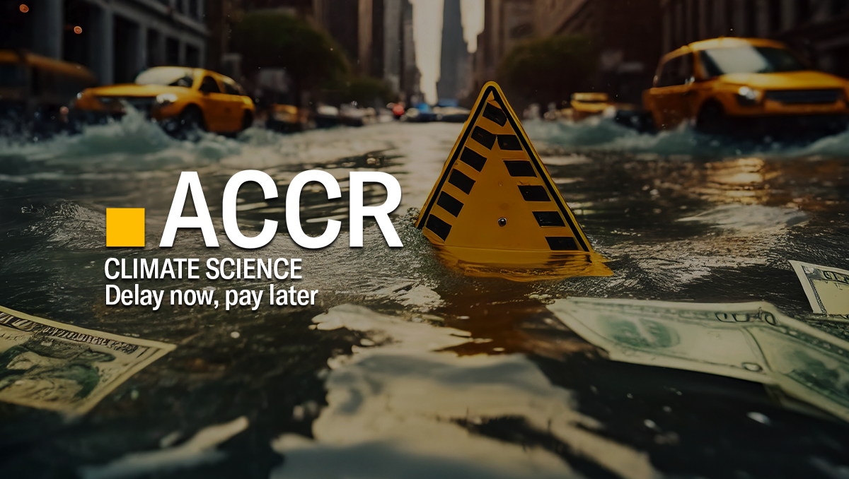 Cover page of the Climate Science Insight: Delay now, pay later publication.