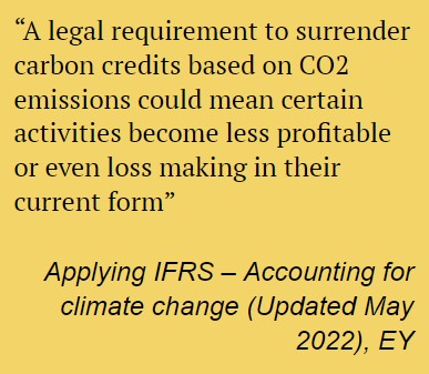 A legal requirement to surrender carbon credits