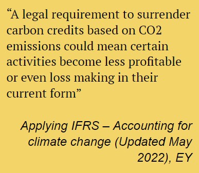A legal requirement to surrender carbon credits