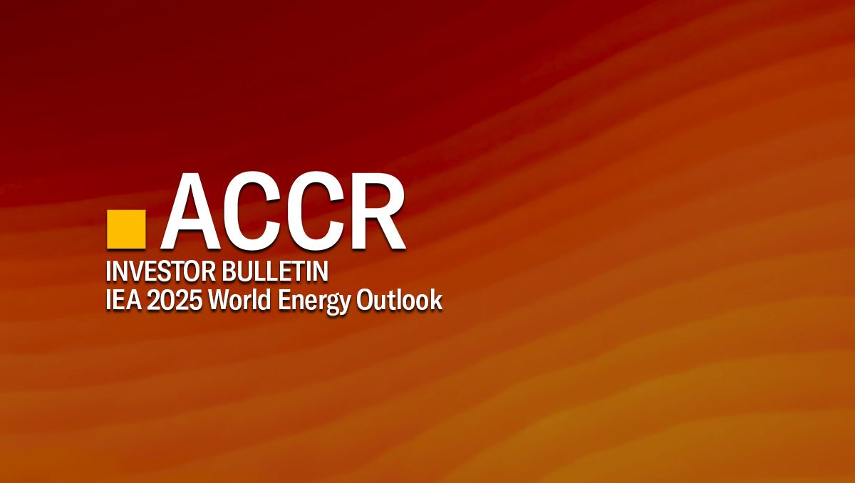 Cover page of the Investor Bulletin: IEA 2025 World Energy Outlook publication.