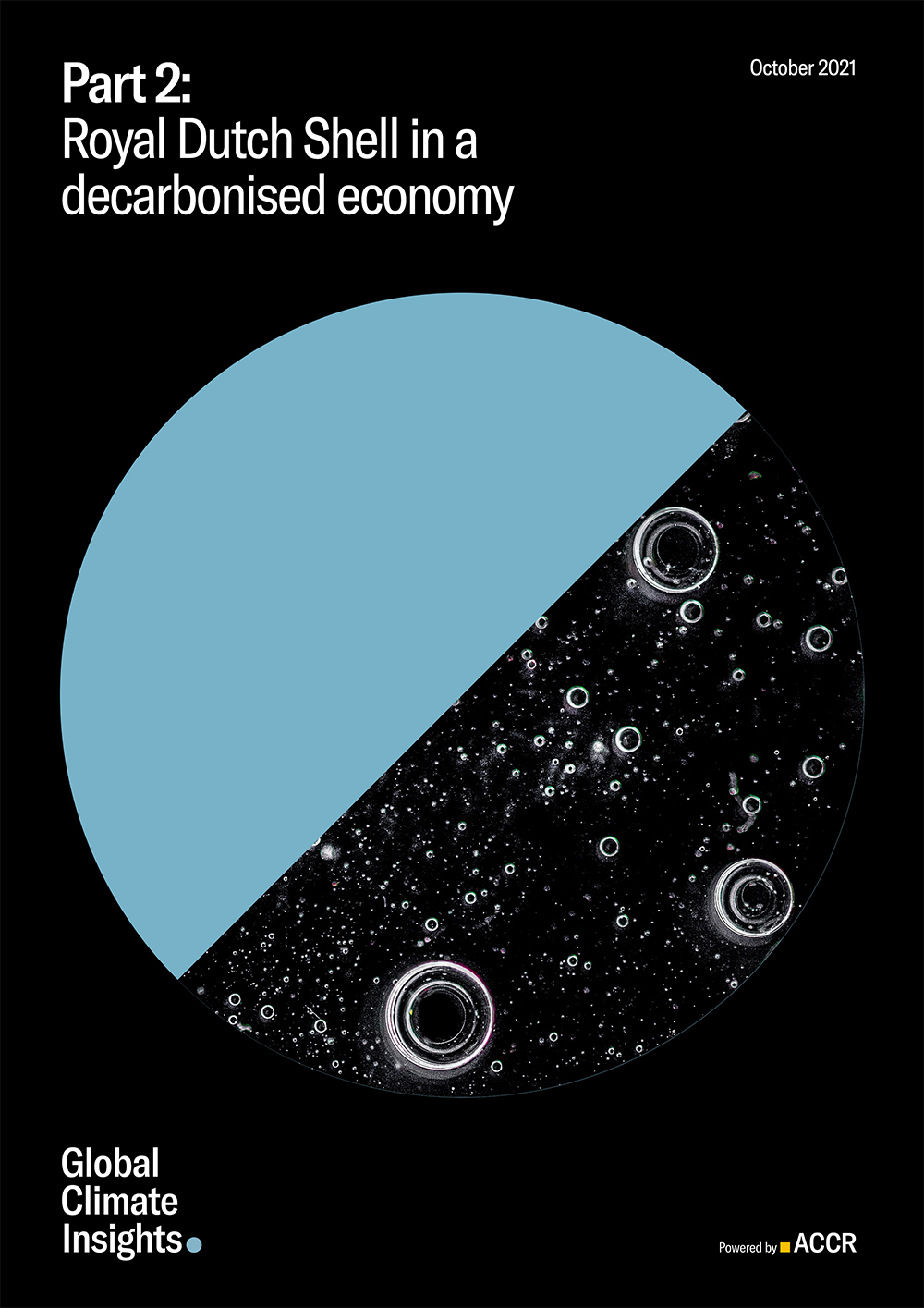 Cover page of the Part 2: Royal Dutch Shell in a decarbonised economy publication.