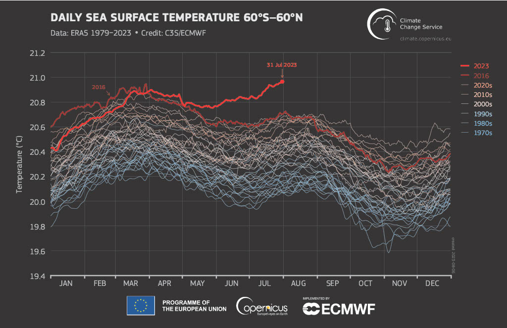 Graph of daily global sea surface temperature