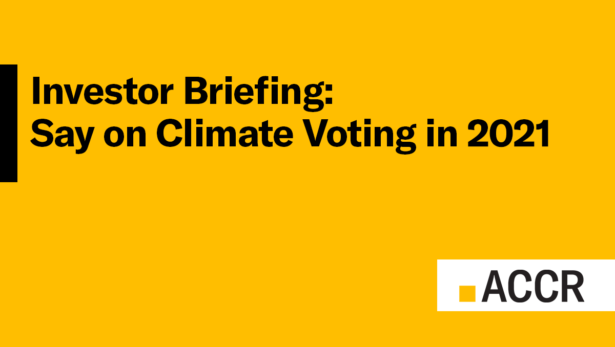 Cover page of the Investor briefing: Say on Climate Voting in 2021 publication.